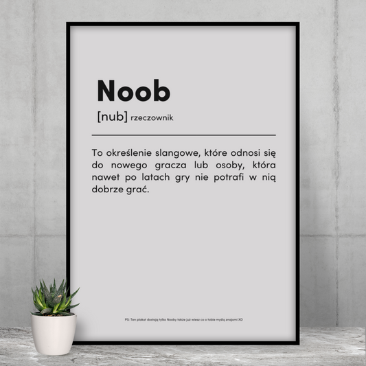 NOOB - Plakat dla Gracza