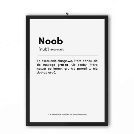 NOOB - Plakat dla Gracza